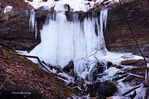 Glovers Falls