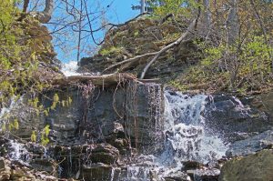 Glovers falls with flow